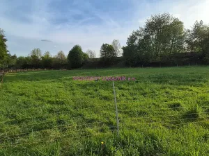 Prodej pozemku pro bydlení, Skalice u České Lípy, 3506 m2