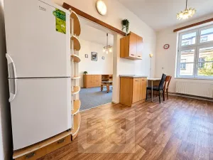 Pronájem bytu 1+1, Praha - Malá Strana, Petřínská, 38 m2