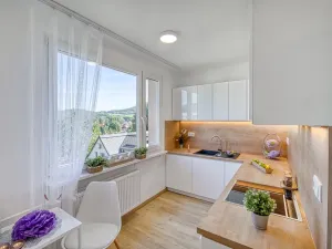 Pronájem bytu 2+1, Cvikov - Cvikov II, Sídliště, 59 m2