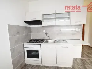 Pronájem bytu 1+1, Jirkov, Vinařická, 35 m2