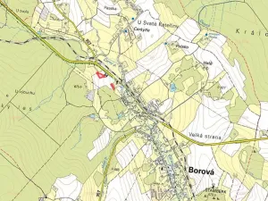 Prodej komerčního pozemku, Borová, 4941 m2