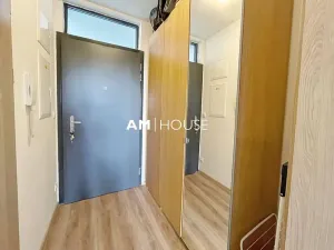 Pronájem bytu 1+kk, Praha - Malešice, Nad úžlabinou, 28 m2