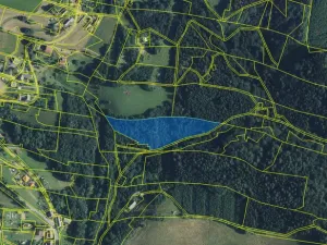 Prodej lesa, Strážná, 11485 m2