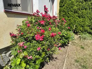 Prodej chalupy, Sedlec-Prčice, 103 m2