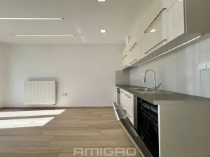 Pronájem bytu 1+kk, Brno, Věstonická, 38 m2