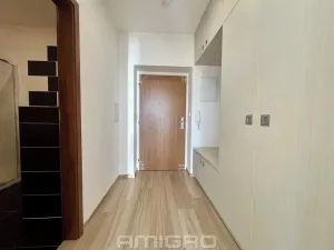 Pronájem bytu 1+kk, Brno, Věstonická, 38 m2