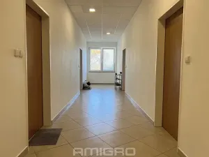 Pronájem bytu 1+kk, Brno, Věstonická, 38 m2