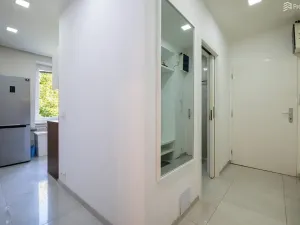 Pronájem bytu 2+1, Brno, Družstevní, 55 m2