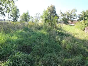 Prodej pozemku pro bydlení, Kaliště, 1162 m2