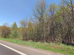 Prodej pozemku, Ústí nad Labem, 23841 m2