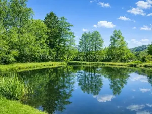 Prodej chalupy, Ždírec nad Doubravou, 145 m2