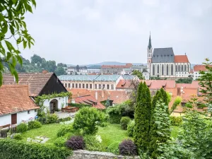 Prodej ubytování, Český Krumlov, Horská, 469 m2