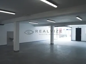 Prodej bytu 3+kk, České Budějovice, J. Dobrovského, 113 m2