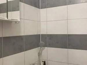 Pronájem bytu 2+1, Ostrava, Tlapákova, 58 m2