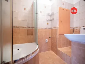Pronájem bytu 3+1, Nová Role, Svobodova, 72 m2