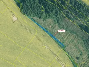 Dražba lesa, Hosty, 323 m2
