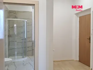 Pronájem bytu 3+1, Snědovice, 104 m2