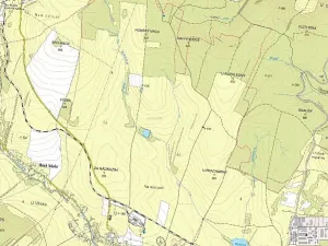 Prodej lesa, Staré Město, 11219 m2