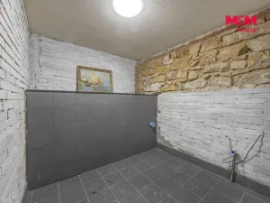 Prodej obchodního prostoru, Praha, Seifertova, 110 m2