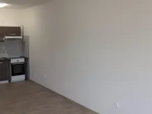 Pronájem bytu 1+kk, Mostkovice, 38 m2
