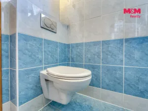 Prodej rodinného domu, Bohutín, 216 m2