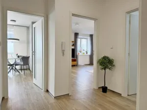 Pronájem bytu 2+kk, Třebíč, Hrotovická, 74 m2