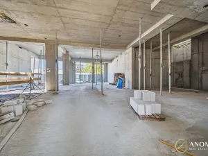 Prodej obchodního prostoru, Brno, 236 m2