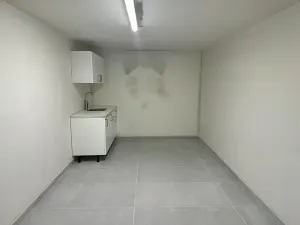 Pronájem výrobních prostor, Příbram, Žižkova, 260 m2