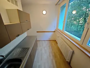 Prodej bytu 2+1, Brno, Nezvalova, 53 m2