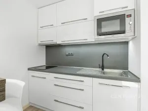 Pronájem bytu 1+kk, Děčín, Pohraniční, 19 m2