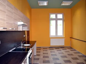 Prodej vícegeneračního domu, Roudnice nad Labem, Špindlerova třída, 783 m2