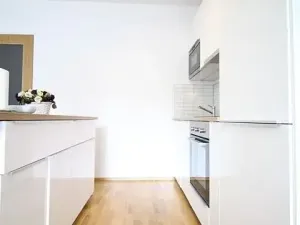 Prodej bytu 1+kk, Brno, Božetěchova, 45 m2