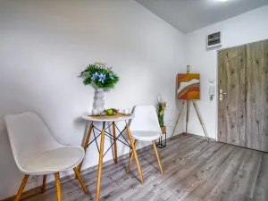 Pronájem bytu 1+kk, Tanvald, Radniční, 25 m2