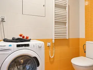 Pronájem bytu 1+kk, Brno, Hybešova, 36 m2