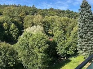 Pronájem bytu 1+1, Luhačovice, 35 m2
