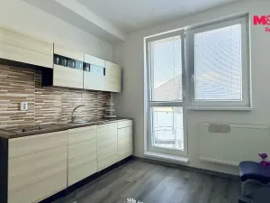 Prodej rodinného domu, Dolní Bojanovice, Zvolence, 380 m2