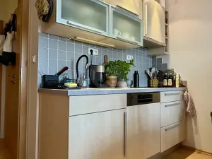 Pronájem bytu 2+kk, Praha - Vinohrady, Velehradská, 48 m2