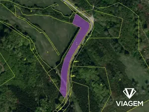 Prodej podílu lesa, Bojkovice, 3337 m2