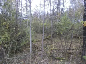 Prodej pozemku, Rozvadov, 2618 m2
