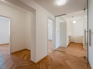 Pronájem bytu 3+kk, Praha - Žižkov, Seifertova, 85 m2