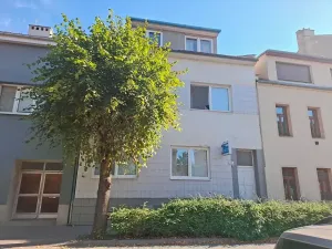 Prodej bytu 2+1, Brno, Rokycanova, 62 m2