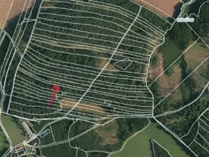 Prodej lesa, Strmilov, 2392 m2