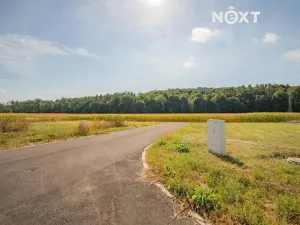 Prodej pozemku pro bydlení, Stavenice, 748 m2