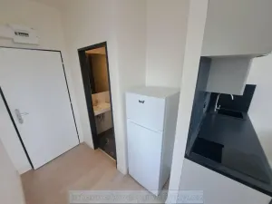 Pronájem bytu 1+kk, Praha - Vysočany, 35 m2