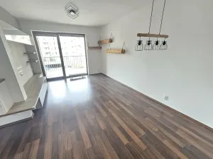 Pronájem bytu 2+kk, Brno, Řípská, 59 m2