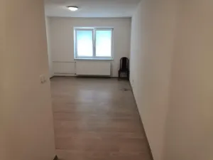 Pronájem bytu 1+kk, Mostkovice, 38 m2