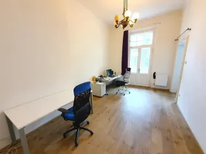 Pronájem bytu 5+1, Praha - Vinohrady, Belgická, 207 m2