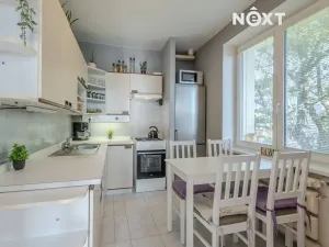 Prodej bytu 2+1, Břeclav, Fintajslova, 54 m2