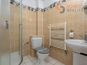 Prodej vícegeneračního domu, Podivín, 450 m2