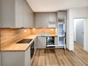 Pronájem bytu 2+kk, Olomouc, Rejskova, 41 m2
